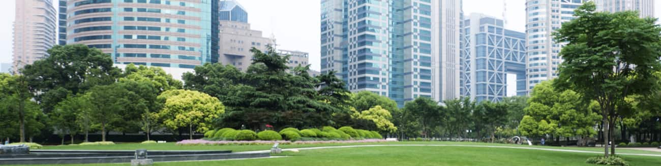 parkskyline